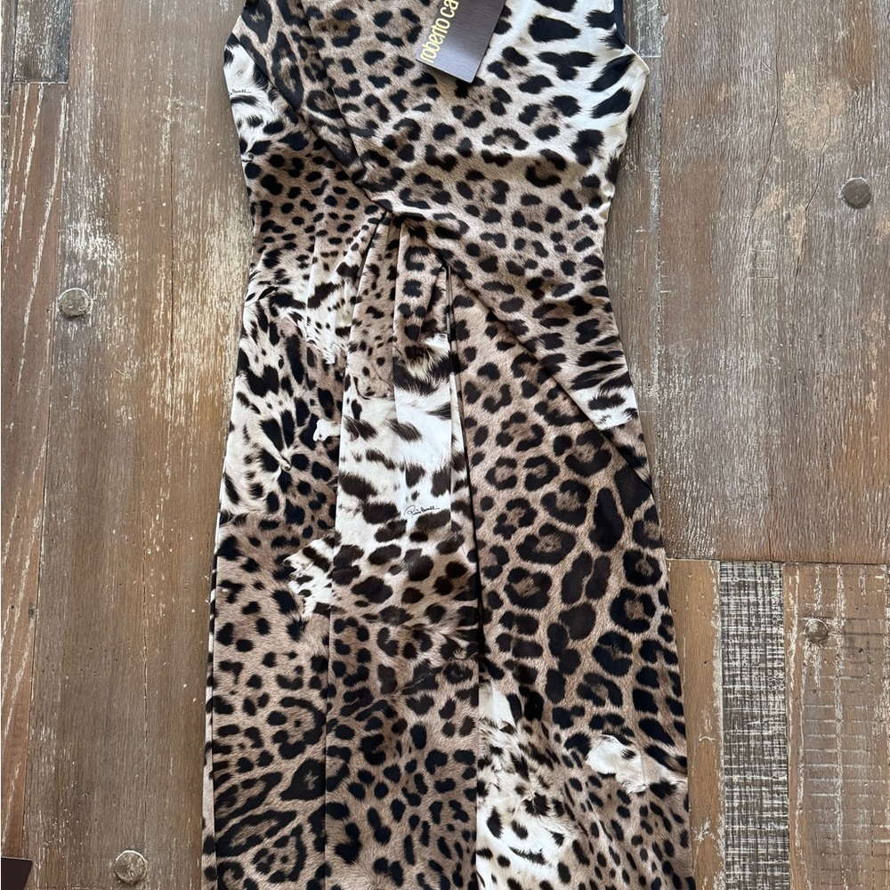 Roberto Cavalli Animal-Print Dress in Beige and Brown